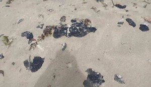 Óleo aparece em Milagres e Barra de Santo Antônio