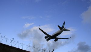 Alagoas soma 22 colisões de pássaros com aviões