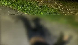 Fuga após arrombamento de lotérica termina com carro no Rio Mundaú, um morto e dois detidos