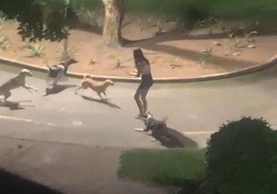 Jovem é atacada por cães de rua enquanto fazia caminhada em praça de Arapiraca