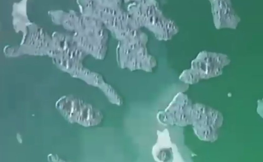 Leonam denuncia despejo irregular de substância Petcoke no mar de Maceió