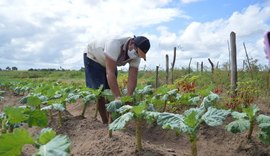 Unidades de saúde de AL receberam 54 mil toneladas de alimentos por meio do PAA