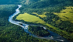 Juiz Federal de Alagoas suspende decreto que extinguiu Reserva Nacional