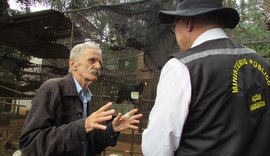 Ministério Público garante primeiros Mutuns-de-alagoas para soltura por meio do 'Projeto 50 Casais'