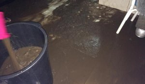 Chuvas causam prejuízos, mas também alegria aos sertanejos