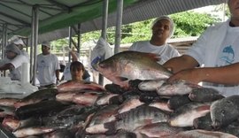 Feira do Peixe Vivo acontece nesta quarta e quinta-feira em Maceió