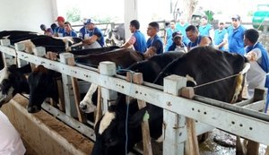 Expo Bacia Leiteira oferece curso de inseminação artificial de bovinos