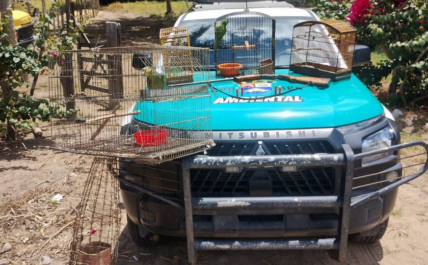 Batalhão Ambiental apreende arma de fogo e resgata animais silvestres em Limoeiro de Anadia