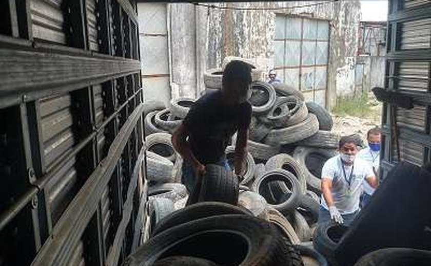 Mutirão para conter avanço da dengue recolhe mais de 3 mil pneus em Maceió