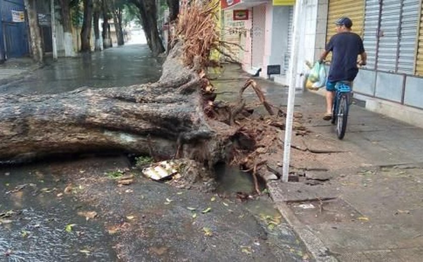 Em dois dias, fortes chuvas provocam estragos em Maceió