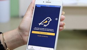 Propaganda eleitoral irregular pode ser denunciada através do app Pardal