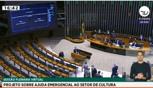 Lei de Emergência Cultural Aldir Blanc é aprovada na Câmara dos Deputados