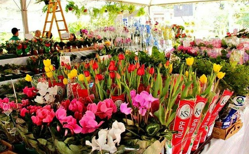 Festival das Flores de Holambra é realizado no Centro de Maceió
