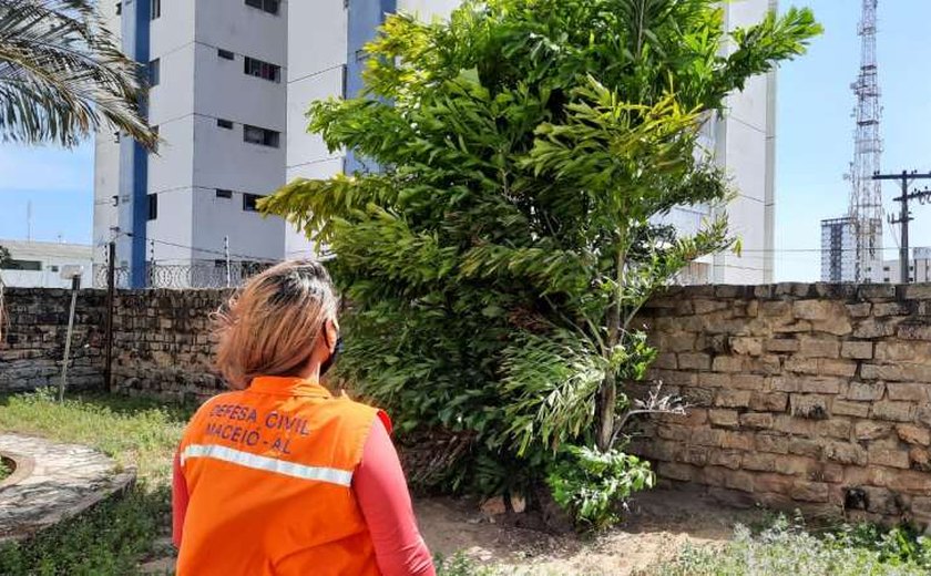 Defesa Civil de Maceió alerta sobre rajadas de ventos que podem chegar a 45 km/h