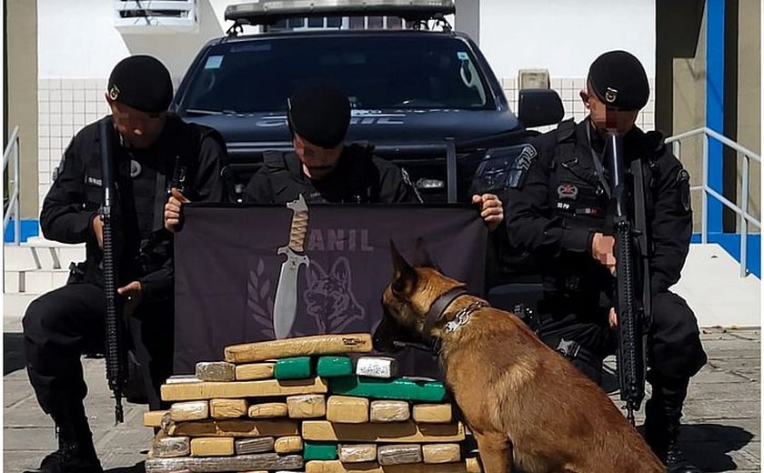 Polícia Militar apreende 60 kg de maconha com passageiro de ônibus