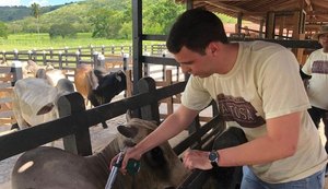 Adeal inicia segunda etapa da campanha de vacinação contra aftosa nesta sexta-feira (1º)