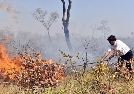 Evo Morales se perde na selva enquanto combatia queimadas na Bolívia