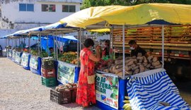 Feira da Agricultura Familiar comercializa produtos cultivados de forma sustentável