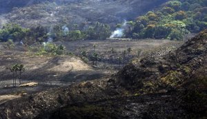 Voluntários representam metade dos envolvidos no combate ao incêndio na Chapada