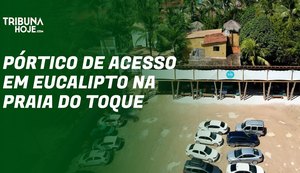 Maior pórtico em eucalipto tratado da América do Sul completa um ano de sucesso no Milagres do Toque