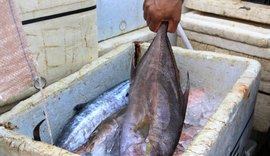 Duas pessoas passam mal depois de comer peixe em Marechal Deodoro