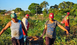 25ª Feira da Reforma Agrária reunirá mais de 150 camponeses em Maceió