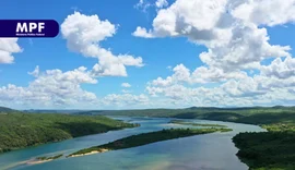 Dano ambiental no São Francisco resulta em condenação após ação do MPF em Alagoas