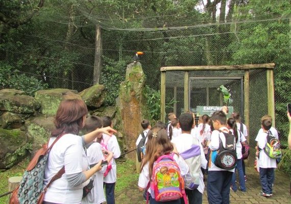 Como a viagem pedagógica pode ajudar no desenvolvimento dos alunos