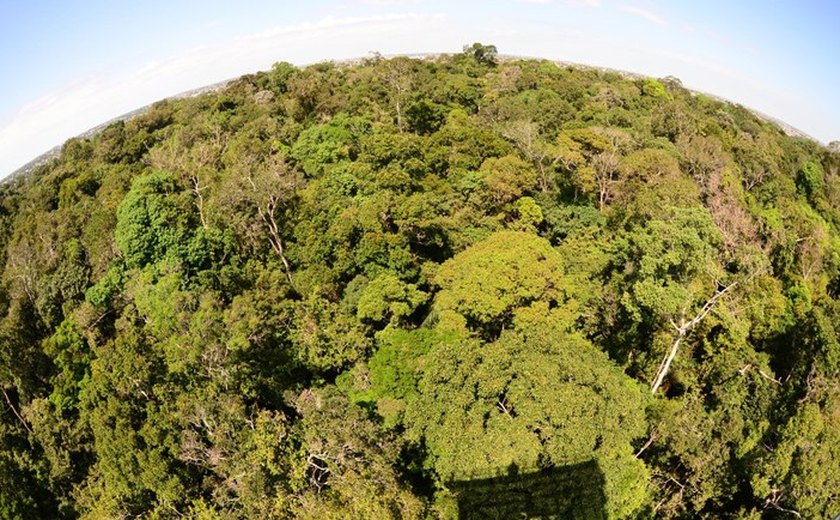 Venha curtir os atrativos da maior Floresta do mundo com o Turismo de Experiência