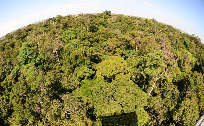 Venha curtir os atrativos da maior Floresta do mundo com o Turismo de Experiência