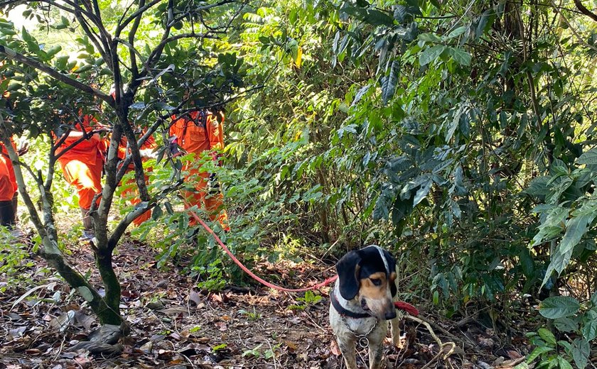 Corpo de idoso encontrado em União dos Palmares não estava esquartejado, afirma Polícia Científica