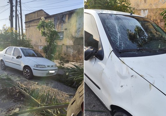 Árvore de grande porte cai e danifica carro no bairro Prado, em Maceió