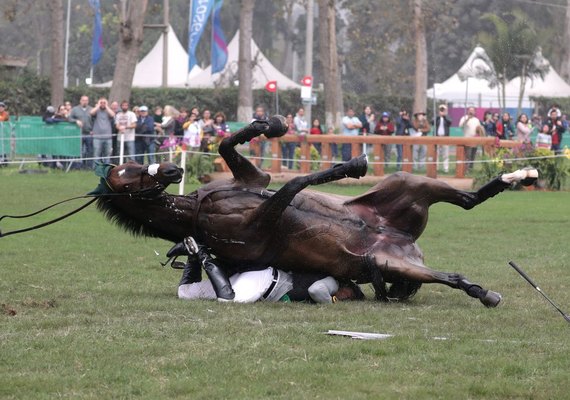 Susto no hipismo: brasileiro cai durante prova do Pan-Americano