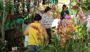 Exposição de orquídeas  reúne cerca de 10 mil plantas