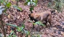 Corpo de homem é encontrado em cova rasa em Rio Largo