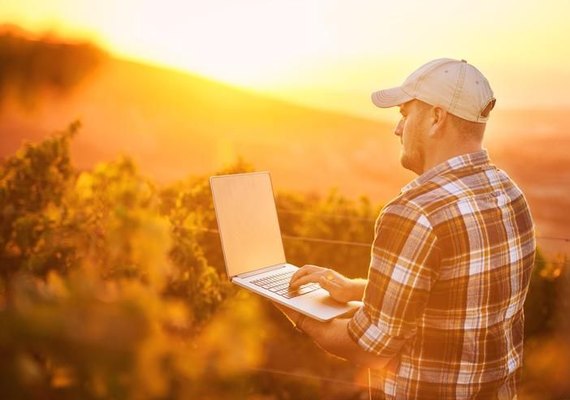 Do campo à mesa: inovação passa por toda a cadeia de produção e consumo de alimentos