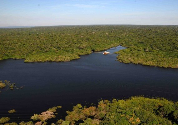 Inscrições estão abertas para o Prêmio Braztoa de Sustentabilidade