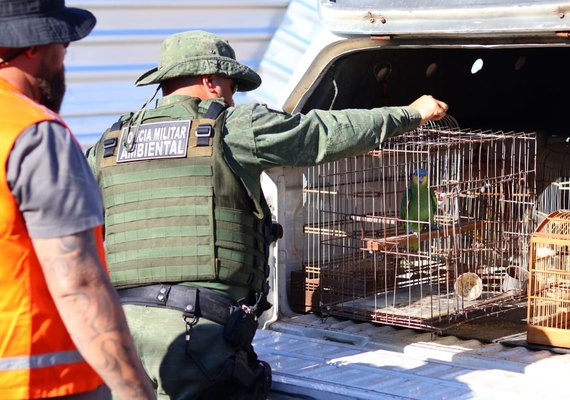 Centenas de animais silvestres resgatados pela FPI do São Francisco voltam para a natureza