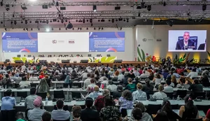 Documentos finais da COP30 fazem menção inédita a afrodescendentes