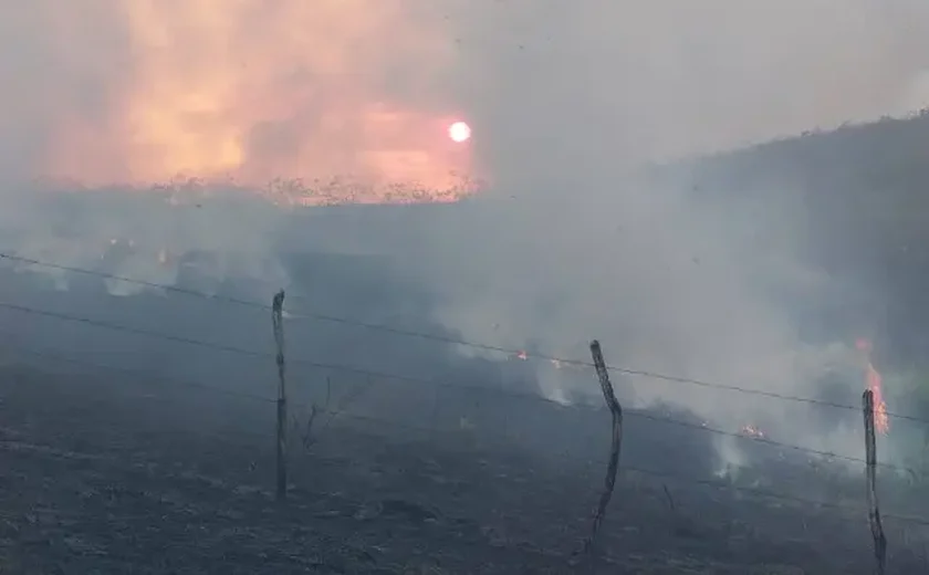 Alagoas tem 289 incêndios em vegetação