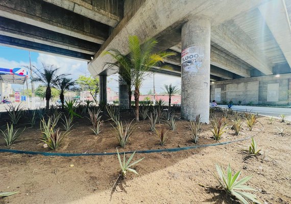 Defensoria Pública busca fim da arquitetura hostil contra população de rua em Maceió