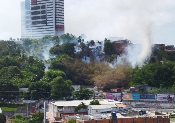 Vídeo: Corpo de Bombeiros combate incêndio de grandes proporções em encosta na Mangabeiras