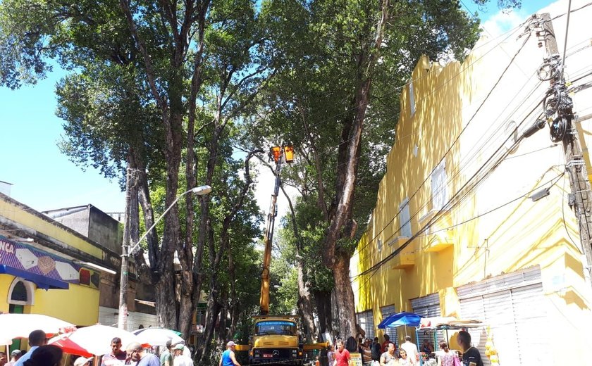 Prefeitura faz operação para supressão de árvores no Centro de Maceió