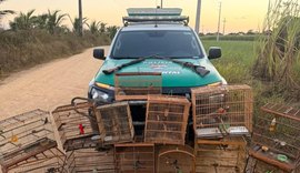 PM/AL apreende duas armas de fogo e resgata 59 animais silvestres em ações de fiscalização