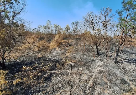 Mudanças climáticas já afetam 85% dos brasileiros, diz pesquisa