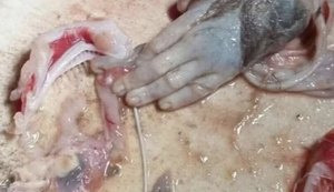 Pescador encontra mão ‘humana’ dentro de peixe gigante na Indonésia