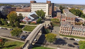 Zelador desliga freezer e perde 20 anos de pesquisas