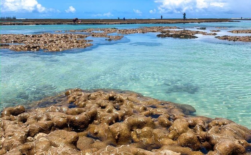 Prefeitura discute implantação do primeiro Parque Marinho em Maceió