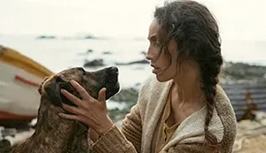 Cadela de filme com Selton Mello ganha prêmio em Cannes por 'melhor atuação canina'