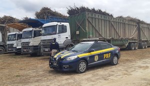 PRF realiza fiscalização de caminhões canavieiros na BR-101